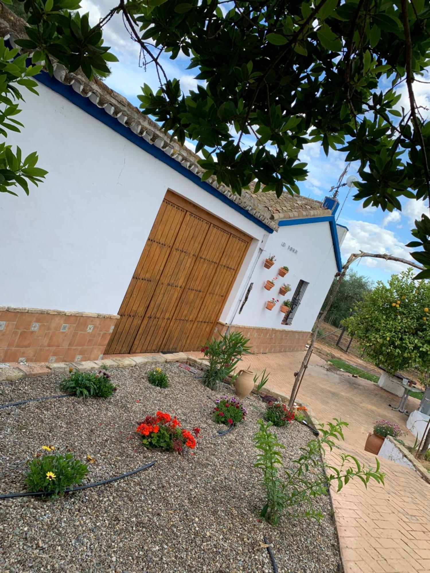 Casa Los Laureles Pilas Extérieur photo